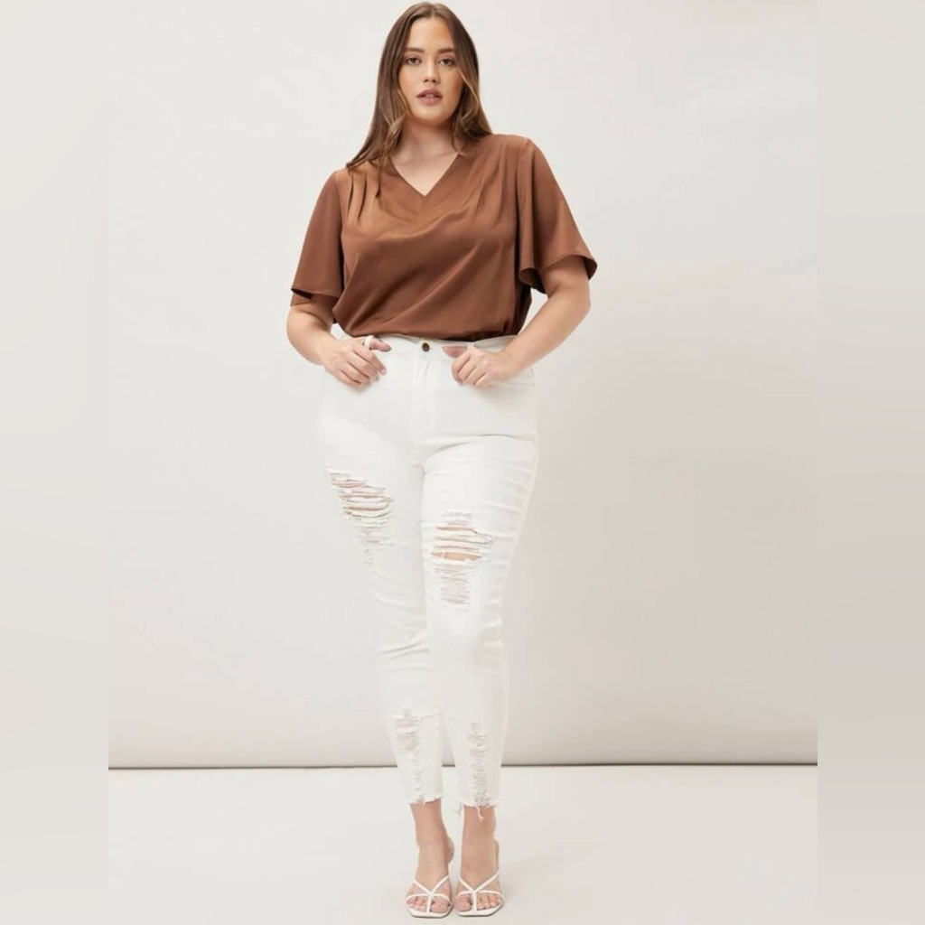 Plus Brown Top